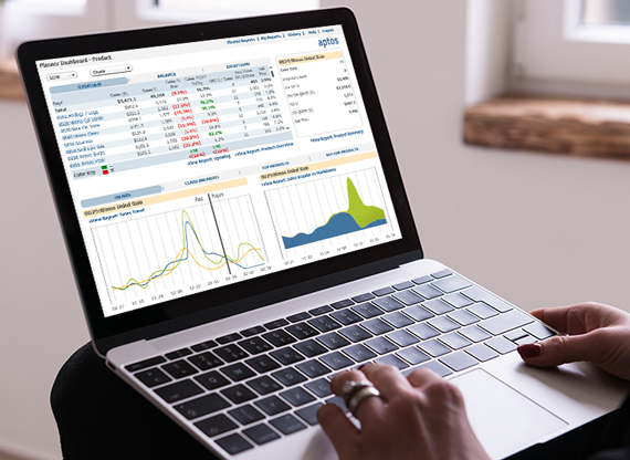 retail analytic software on computer